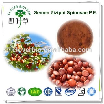 Organic Natural Spine Date Seed Extract