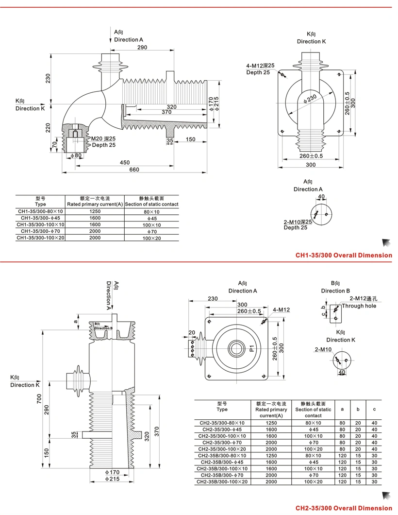 (LDJ-40.5/300) Indoor Full-Inclosed Support with Contact Vox Necessary Insulation Current Transformer