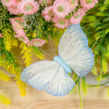 Butterfly craft for adults