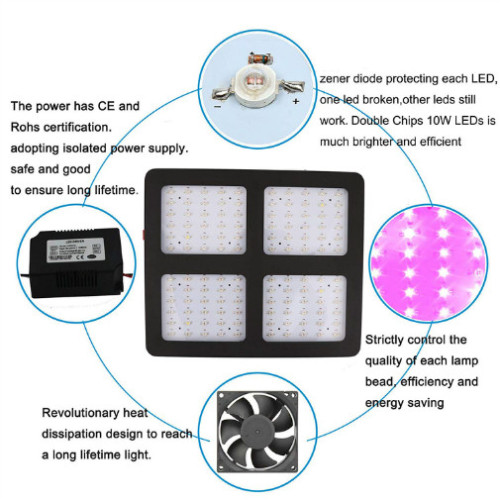 Najlepsze LED Grow Light dla piwnicy Veg &amp; Fruit Roślin