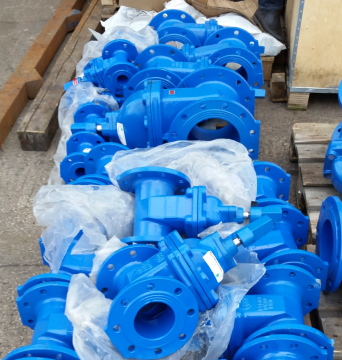 Ductile Flanged  Resilient Seated Gate Valves