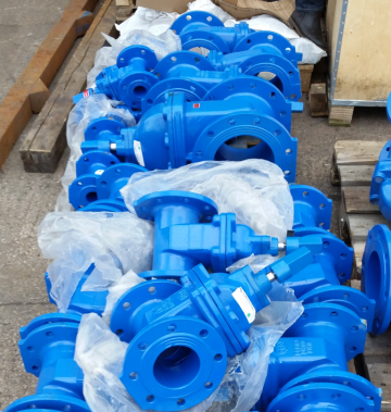 Ductile Flanged  Resilient Seated Gate Valves