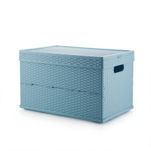 Rattan Plastic Bins & Storage Boxes for Home Closet Organization