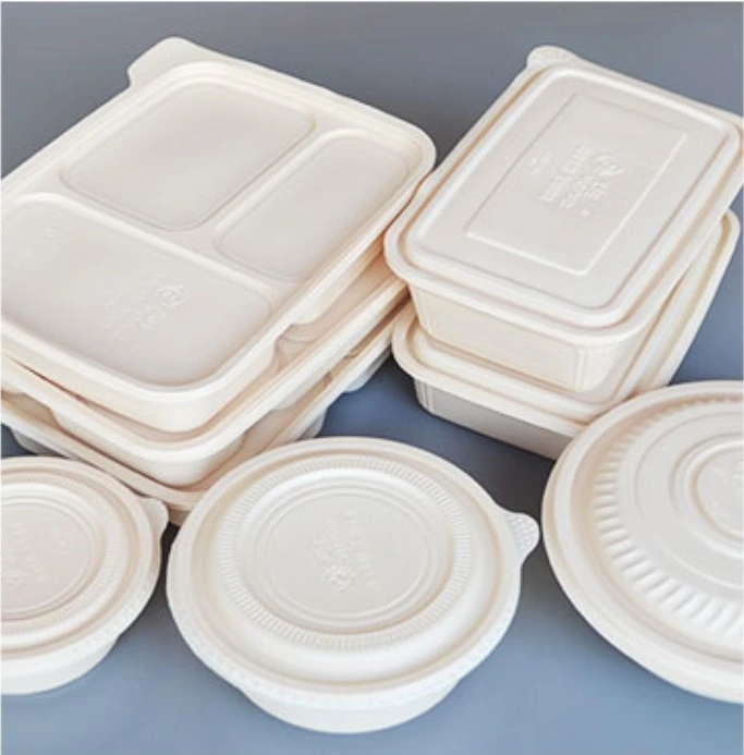 Large Food Party Tray with Lids Biodegradable Food Box Hot Dog 500-1000ml Meat Platter