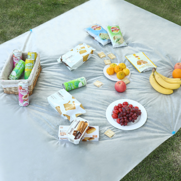 Outdoor non-woven disposable picnic mat