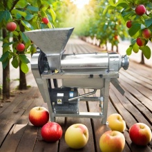 Mango and Passion Fruit Pulp Processing Machine for Sale