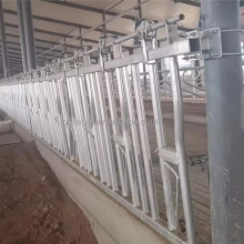 Dairy Headlocks: Self-Locking Cattle Feed Front for Agriculture Farms