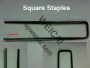 Galvanised Steel Staples (U Type)