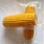 Butter Corn Cob Double Packed