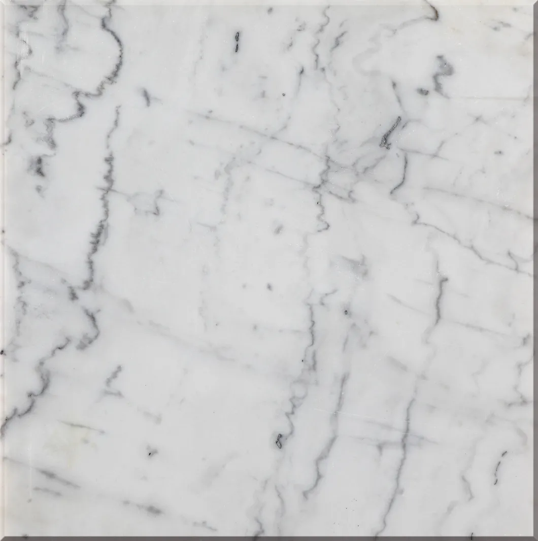 Commercial and Residential Decorative Kwong Sal White Marble Stone