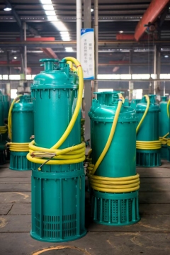 ZJQ Submersible slurry pumps 250