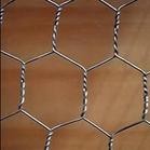 low price hexagonal decorative chicken wire mesh/copper chicken wire mesh special for Africa