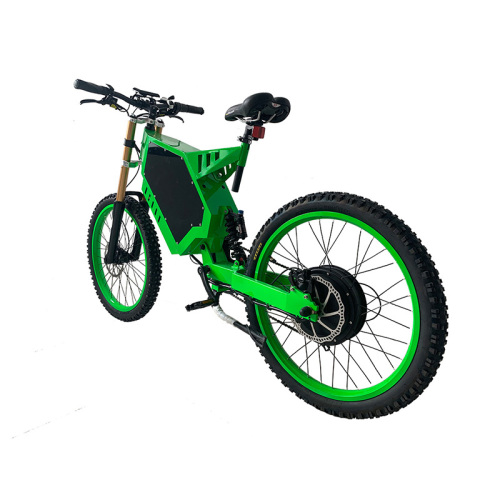 사용자 지정 리튬 배터리 전원 전기 오프로드 자전거