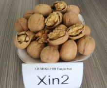 Product XIN2 Walnut Inshell