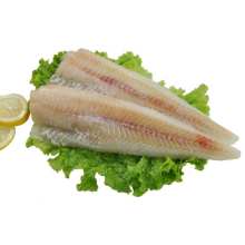 Alaska pollock fish frozen alaska pollock fillet