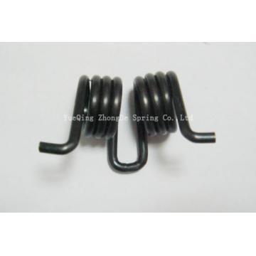 Auto accessory spring