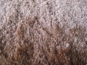 Thin Silk Shaggy Plain Color