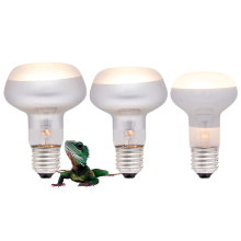 Wholesale Reptile UVa Heating Lamps and Basking Lights for Amphibians and Dragons