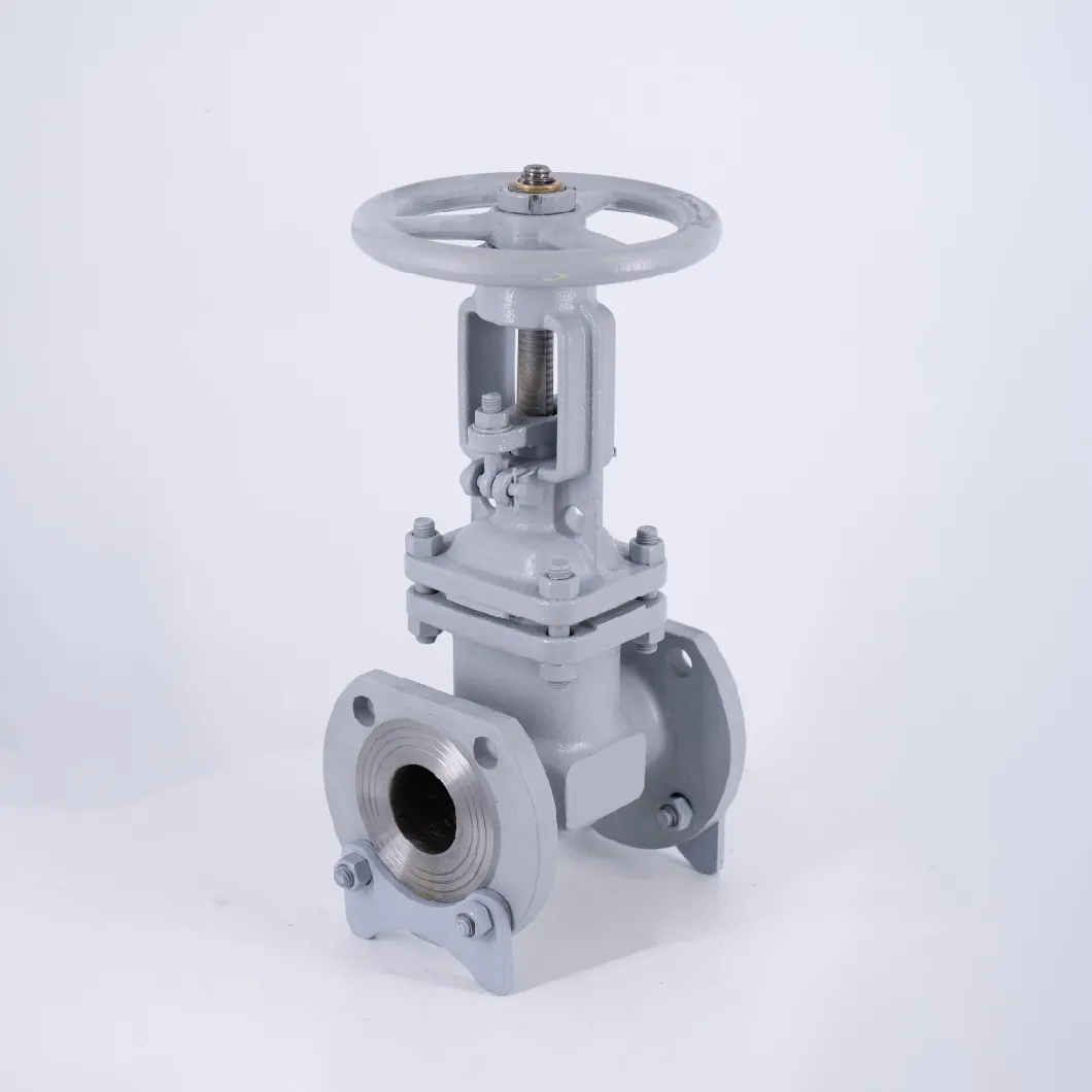 Rising Stem Gate Valve Cast Iron PN10/16