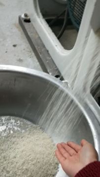 Combined Paddy Pounder Rice Scourer Mill Machine