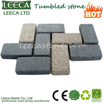 Driveway mesh paving stone