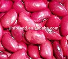small Red Kidney Beans