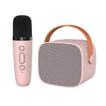 Wireless Mini Bluetooth Karaoke Speaker with 2 Wireless Microphones for Outdoor Use