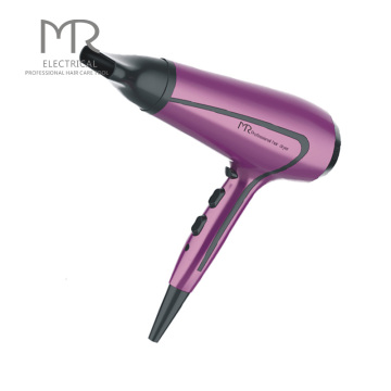 Professional Salon Powerful Electric Ionic Hair Dryer