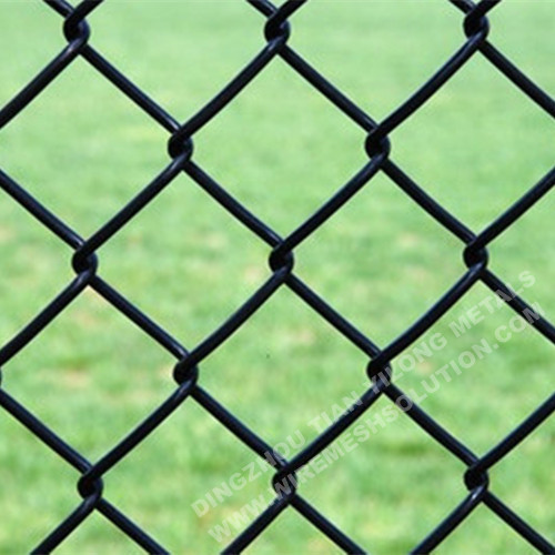 RAL6005 PVC Coated Chain Link Fence