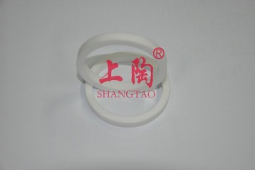 Machinable Glass Ceramic Ring