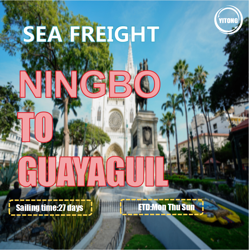 خدمة شحن المحيطات من نينغبو إلى غواياجويل الإكوادور
