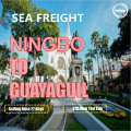 Meeresfrachtdienst von Ningbo nach Guayaguil Ecuador