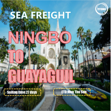 NingboからGuayaguil Ecuadorまでの海洋貨物サービス