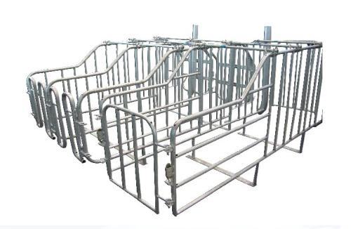 Various Size Galvanized Sow Gestation Crates For Pig