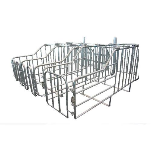 Various Size Galvanized Sow Gestation Crates For Pig