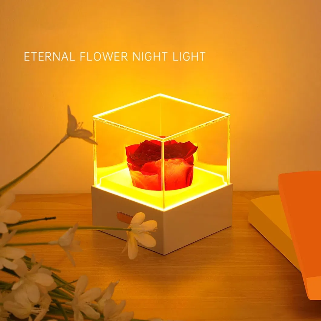 Whimsical USB Flower Night Light for Girls′ Rooms