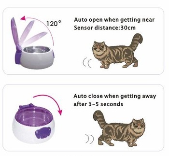 Auto-dish for pet