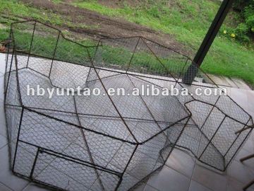 fish trap hexagonal wire mesh