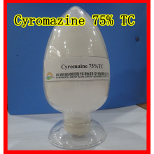 Cyromazine (20% wp, 75% WP, 99% TECH)