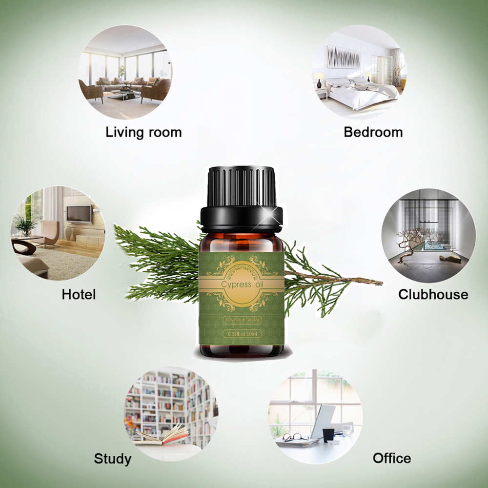 Bulk price cypress essential oil 100% Pure organic