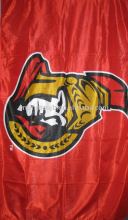 SILK SCREEN PRINTING FLAG FABRIC