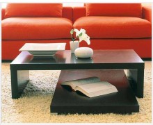 Contemporary Coffee Table