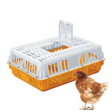 Plastic Transport Crates for Live Chicken, Duck, and Pigeon Turnover in Poultry Farms