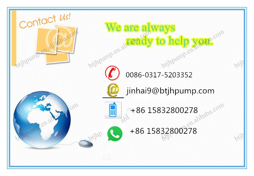 Deep Well Water Pump Borehole Pump
