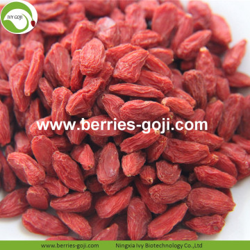 Buy Natural Fruit Anti Cancer Lycium Chinensis