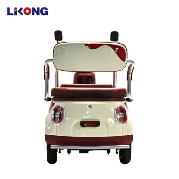 China Fashion Leisure Electric Tricycle for Passenger Customization Services