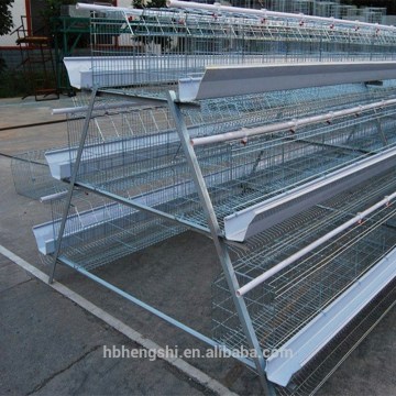 Animal cages, mink cages