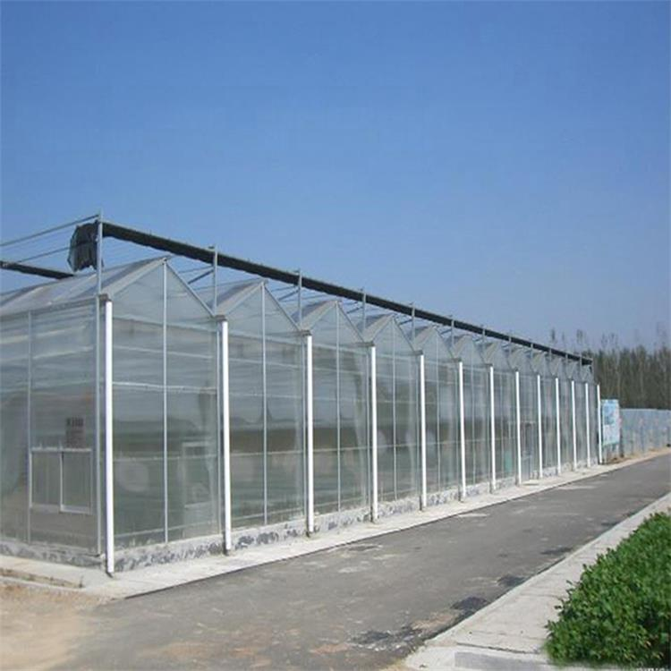 Agricultural Poly Multi-Span Arch PC Greenhouse