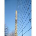 Hot Dipped Galvanized Cheap Farm Fence