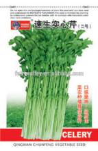 High Quality Chinese Vegetable Seeds Celery Seed For Cultivation-Fast Growing Soild Celery
